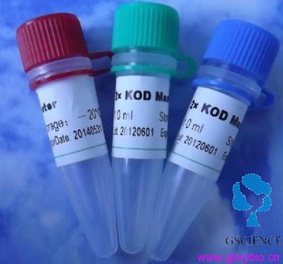 猪圆环病毒2型衣壳蛋白单克隆抗体