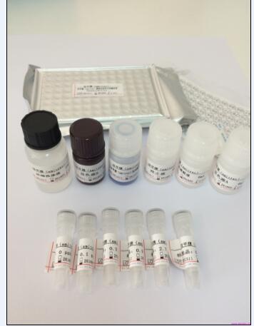 SVCV ELISA检测试剂盒（捷克TEST-LINE公司）