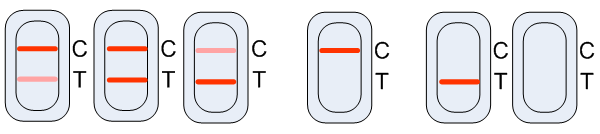 黄曲霉毒素B1快速检测卡
